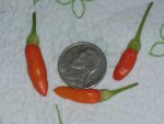 20201004_134116.jpg