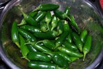 jalapenos11.JPG