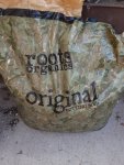20201005_092954.jpg