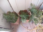 20201005_123239.jpg
