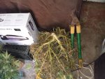 20201005_123247.jpg