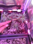 IMG_20201006_101938.jpg
