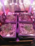 IMG_20201006_101914.jpg