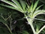 20201006_090129.jpg