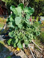 20201006_101055.jpg