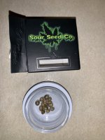 SourSeedCo.jpg
