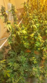 20201007_233638.jpg