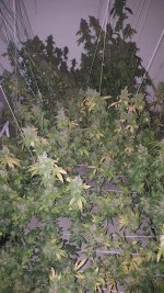 20201007_234047.jpg