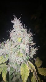 20201007_234255.jpg