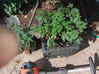 20201009_131854.jpg