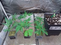20201009_131654.jpg