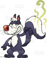 silly-illustration-of-a-skunk-vector-id158695399.cf.jpg