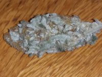 20201010_115605.jpg