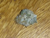 20201010_115526.jpg