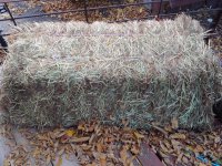 20201009_181601.jpg