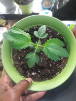 20201014_220405.jpg