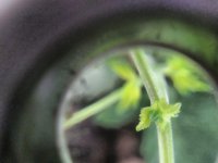 IMG_20201014_220714_DRO.jpg