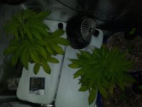 20201014_232033.jpg