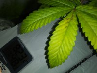 20201014_232021.jpg