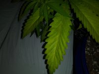 20201014_232006.jpg