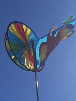 20201015_100045.jpg