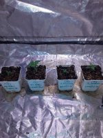 20201016_215335.jpg