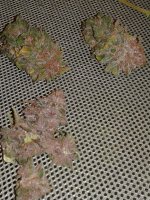 20201017_105054.jpg