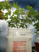 20201018_152707.jpg