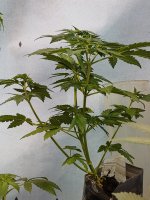 20201018_152831.jpg