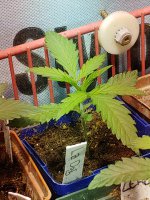 20201018_152104.jpg