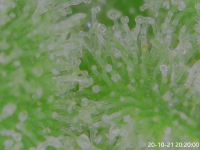 20-10-21 20:20:00.png