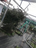 IMG_3432_result.jpg