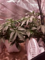 20201103_094457.jpg