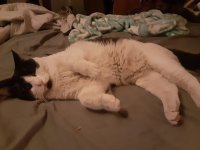 20201104_051845.jpg