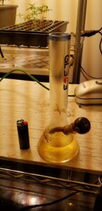 20201104_195329.jpg