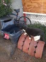 20201105_071258.jpg
