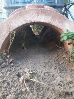 20201105_071029.jpg