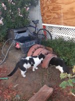20201105_071243.jpg