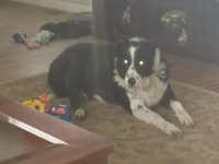 20201105_143001.jpg