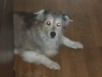 20201105_143140.jpg