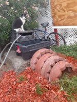 20201105_161941.jpg