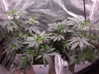 20201107_205720.jpg