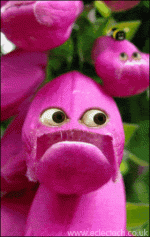pollenate.gif