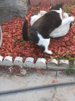 20201111_133701.jpg