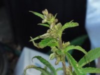 20201116_095416.jpg