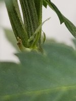 20201116_212540.jpg