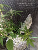 PXL_20200927_011449482.jpg