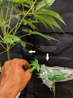 PXL_20201117_021039630.jpg