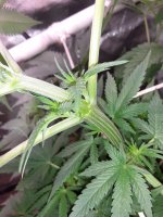 20201119_054705.jpg