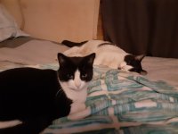 20201114_035728.jpg